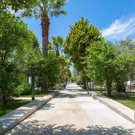 Отель Risus Garden Marina