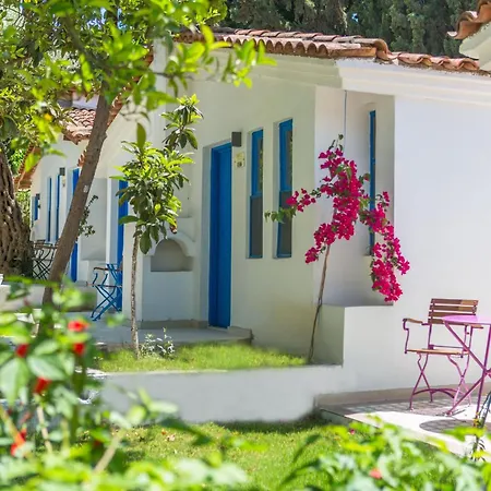 Hotell Risus Garden Marina