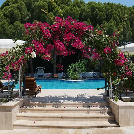 Risus Garden Marina Hotel 3*