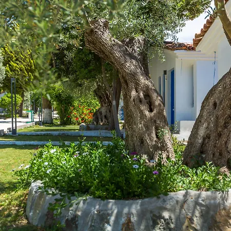 Risus Garden Marina Kusadasi