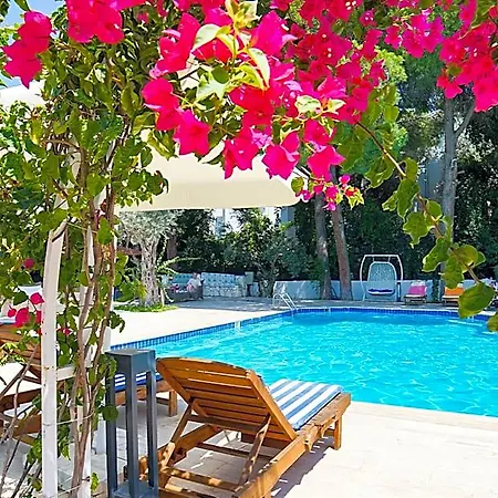 Risus Garden Marina 호텔 3*