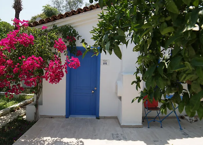 Risus Garden Marina