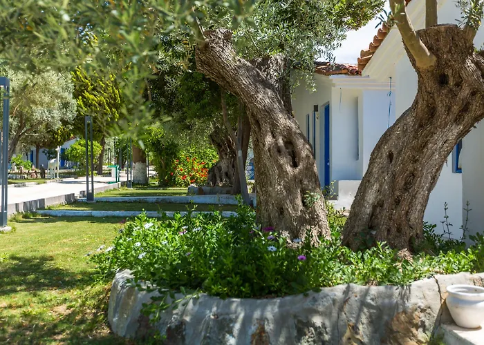 Risus Garden Marina Kusadası
